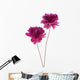 Peony Wall Decal