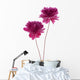 Peony Wall Decal