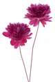 Peony Wall Decal