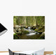 Mountain Brook Wall Decal