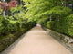 Temple Pathway Wall Decal