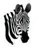 Zebra Head Wall Decal