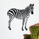 Zebra Wall Decal
