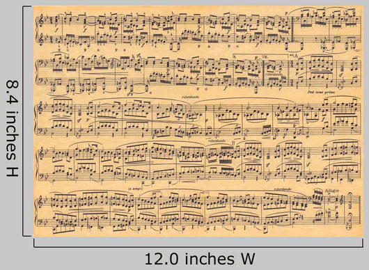 Notes