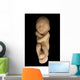 Fetus on Black Wall Mural