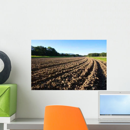 Field With Tillage Diminishing Wall Decal