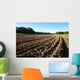 Field With Tillage Diminishing Wall Decal