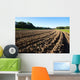 Field With Tillage Diminishing Wall Decal