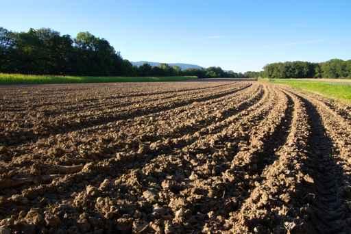 Field With Tillage Diminishing Wall Decal