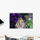 Monarch Butterfly Wall Mural