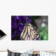 Monarch Butterfly Wall Mural