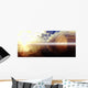 Phenomenon Wall Decal