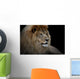 Lion Black