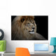 Lion Black