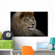 Lion Black