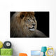 Lion Black