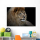 Lion Black