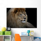 Lion Black