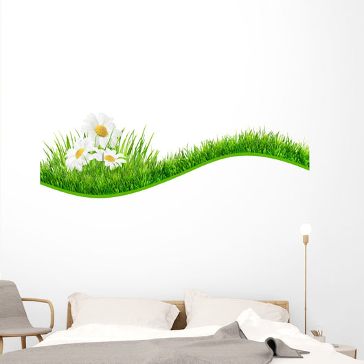 Daisies Banner
