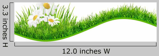 Daisies Banner