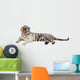 Lying White Tiger Over Wall Decal