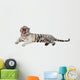 Lying White Tiger Over Wall Decal