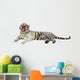 Lying White Tiger Over Wall Decal