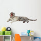 Lying White Tiger Over Wall Decal