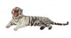 Lying White Tiger Over Wall Decal