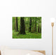 Forest Wall Mural