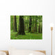Forest Wall Mural