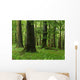 Forest Wall Mural