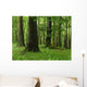 Forest Wall Mural