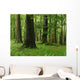 Forest Wall Mural