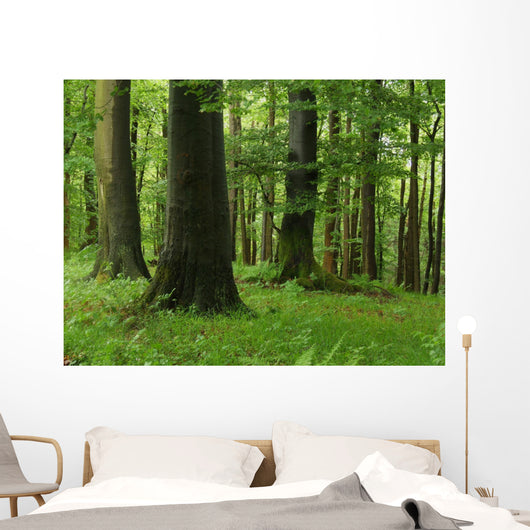 Forest Wall Mural