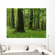 Forest Wall Mural