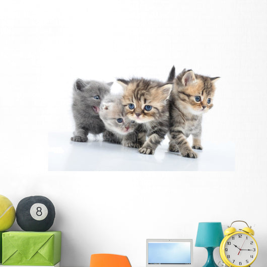 Group Little Kittens