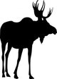 Moose Wall Decal