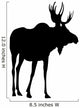 Moose Wall Decal