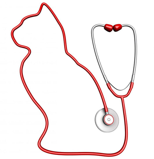 Cat-Shaped Stethoscope Wall Decal