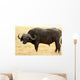Safari Wall Mural