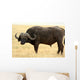 Safari Wall Mural
