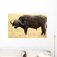 Safari Wall Mural
