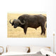 Safari Wall Mural