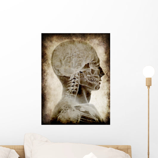 Old Parchment with Skull Wall Mural