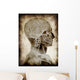 Old Parchment with Skull Wall Mural