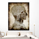 Old Parchment with Skull Wall Mural