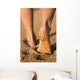 girl's barefoot legs Wall Mural