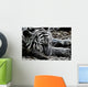 Tiger Wall Mural