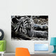 Tiger Wall Mural